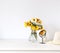 Colorful calendula flowers in a vase on the white table composition.