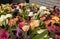 Colorful calla zantedeschia flowers are blooming in the spring.