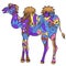 Colorful camel