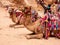 Colorful camels wait to take tourists for a ride