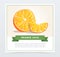 Colorful card with half cut and small slice of orange. Fresh citrus concept. Healthy food or organic fruit concept. Hand