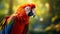 Colorful Caricature: A Red Macaw Bird In The Forest