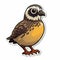 Colorful Caricature Sticker Of A Cute Quail Bird