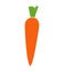 Colorful carrot Icon.