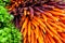 Colorful Carrots Market Place