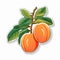 Colorful Cartoon Apricot Sticker With Detailed Illustrations