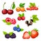 Colorful Cartoon Berries Icons Collection