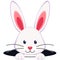 Colorful cartoon rabbit face hole icon.