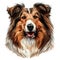Colorful cartoon red collie rough dog close up front view portrait on white background