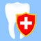 Colorful cartoon shield protecting tooth