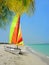 Colorful catamaran and palm tree on beach