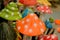 Colorful ceramic mushrooms