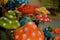 Colorful ceramic mushrooms