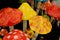 Colorful ceramic mushrooms