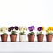 Colorful Ceramic Pansies Planted In A Row - High Quality Stock Photo