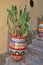 Colorful ceramic pot, Sicilian ceramics with a flower inside, with a cactus, the pot on the stairs