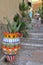 Colorful ceramic pot, Sicilian ceramics with a flower inside, with a cactus, the pot on the stairs