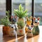 Colorful Ceramic Pots With Small Animal Designs - Perfect For Indoor Gardens