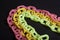 Colorful chains