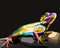 Colorful chameleon pop art portrait premium vector isolated deocartion