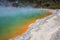 Colorful Champagne Pool at Wai-O-Tapu Thermal Wonderland near Rotorua, North Island, New Zealand