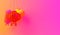 Colorful chinese lantern lampion on pink yellow gradient background.