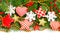 Colorful Christmas border with snowflake