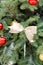 Colorful Christmas ribbon with ornaments hanging from snow cover