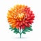 Colorful Chrysanthemum Flower Illustration On White Background