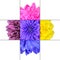 Colorful Chrysanthemum Flower Mosaic Design