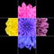 Colorful Chrysanthemum Flower Mosaic Design