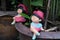 Colorful clay doll boy and girl sitting on the edge of the tree pot.