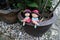 Colorful clay doll boy and girl sitting on the edge of the tree pot.