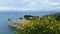 Colorful Cliff With Sea View And Wild Flowers