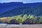 Colorful Cliff Trees Evergreens, Kites Canon Beach Oregon