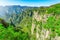 Colorful cliffs in Zhangjiajie Forest Park at sunrise time.