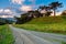 Colorful clouds with araucaria trees and dirty road in Santa Catarina