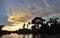 Colorful clouds at dawn by a swampy shore with thick foliage undergrowth