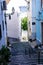 Colorful Cobblestoned Alley in Alfama