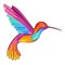Colorful Colibri. Hummingbird. Great for company Logo.