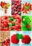 Colorful collage healthy fruit