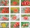 Colorful collage of ripe tomatoes