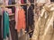 A colorful collection of women`s autumn and winter clothing hangs on a hanger in the store