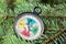 Colorful compass on the branches of a pine tree