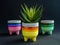 Colorful concrete planters. Painted concrete pots for home decoration