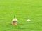 Colorful cones in football field, colorful markers in trainning grassfield