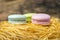 Colorful cookies, macaroni in a bird`s nest. Easter theme.