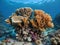 Colorful coral reef at the bottom of tropical sea, white finger coral, underwater landscape