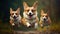 Colorful Corgi Fun Three Cute Pembroke Welsh Corgi Dogs Jumping for Treats. Generative AI