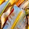 Colorful corn leaf closeup